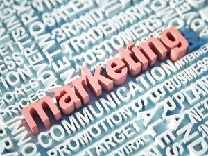 איך לבדוק דירוגים בגוגל